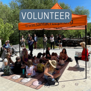 Friends of the Santa Cruz Public Libraries